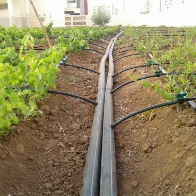Irrigation Systems, Boca Raton Sprinkler & Drainage Systems