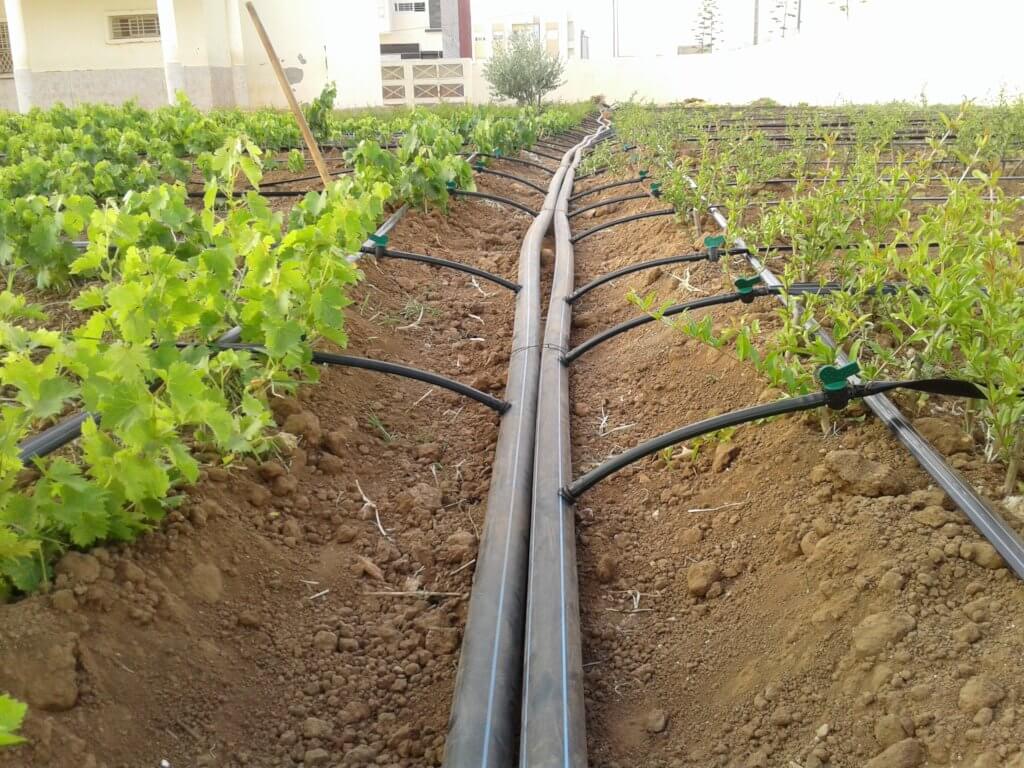 Irrigation Systems, Boca Raton Sprinkler & Drainage Systems