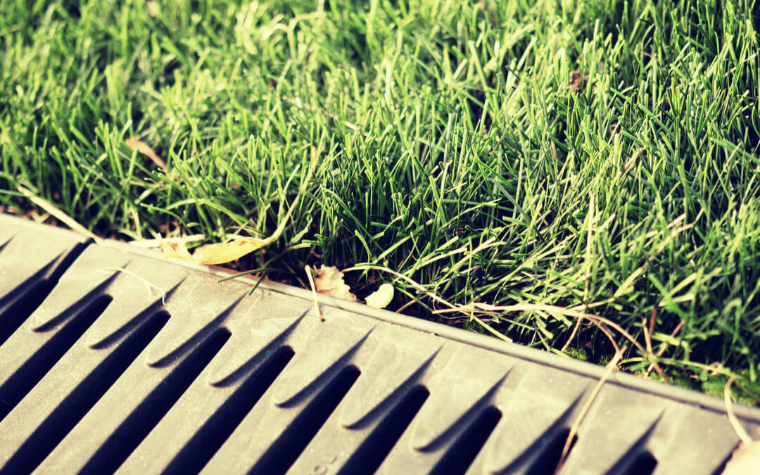 Turf Drainage, Boca Raton Sprinkler & Drainage Systems